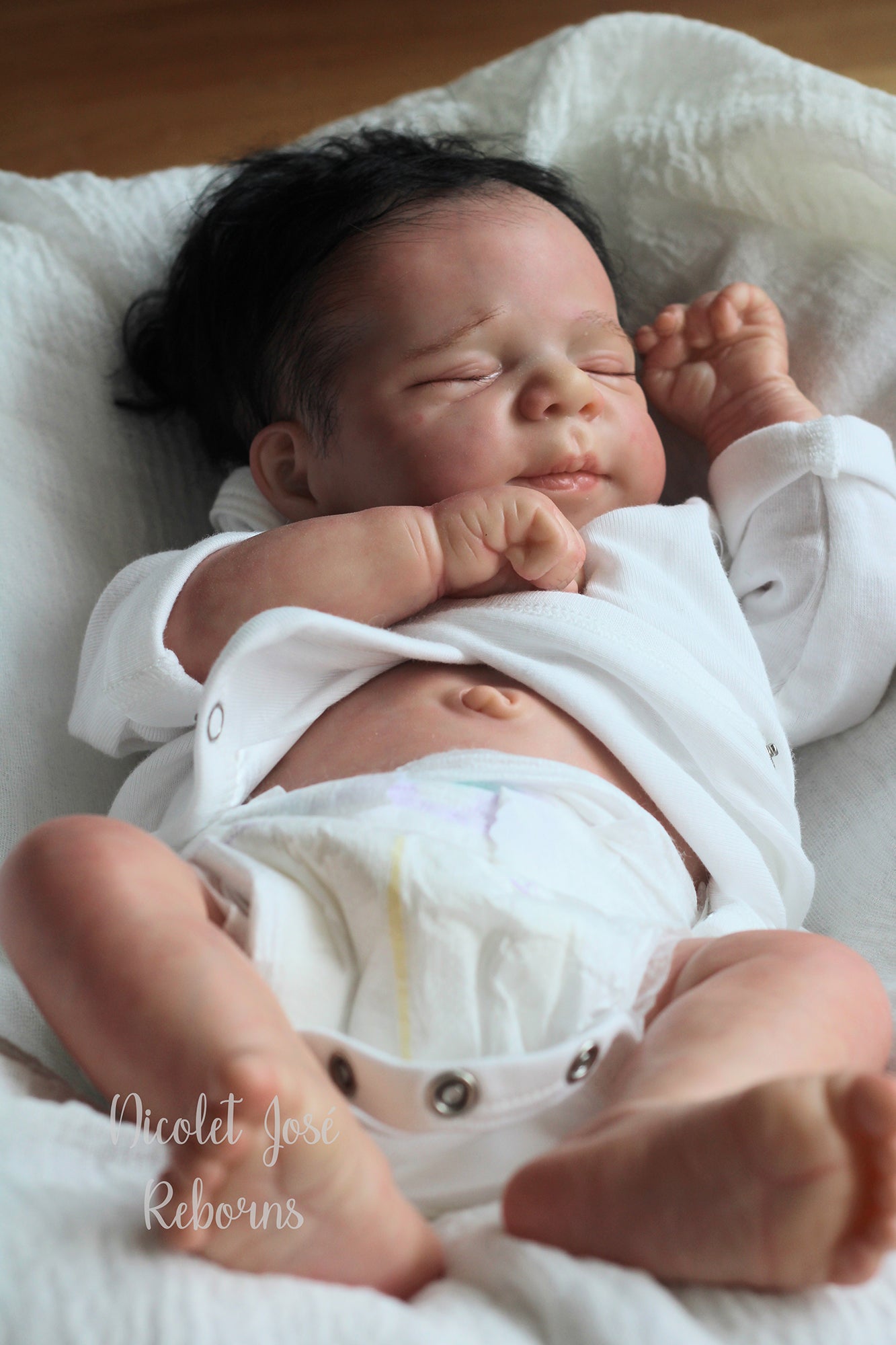 NICOLET JOSÉ REBORNS