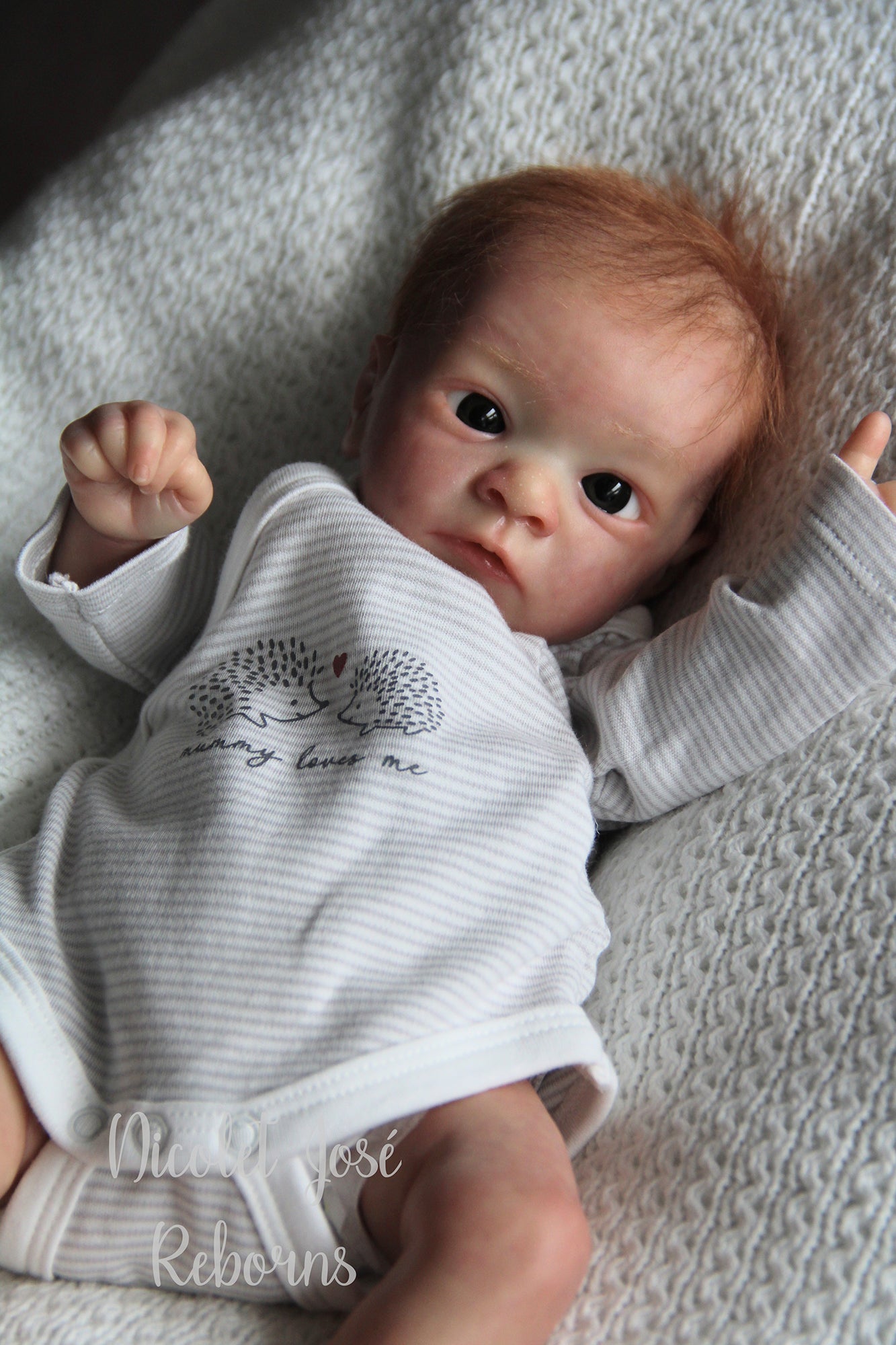 NICOLET JOSÉ REBORNS