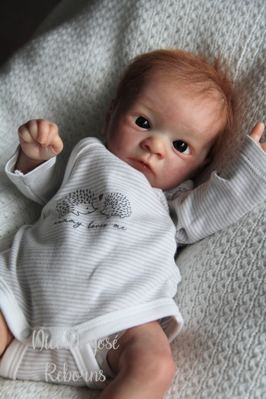 NICOLET JOSÉ REBORNS — photo 5