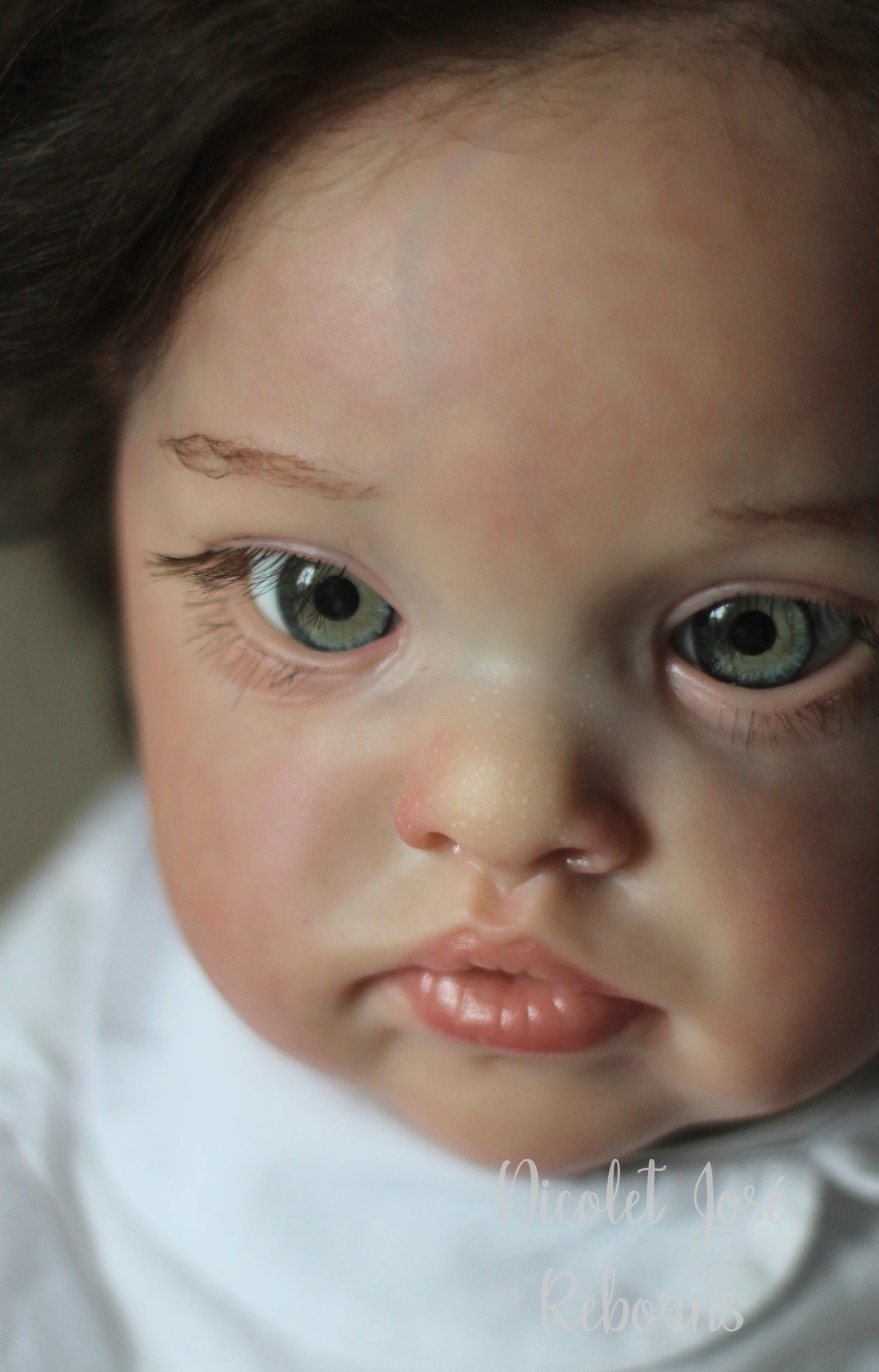 NICOLET JOSÉ REBORNS