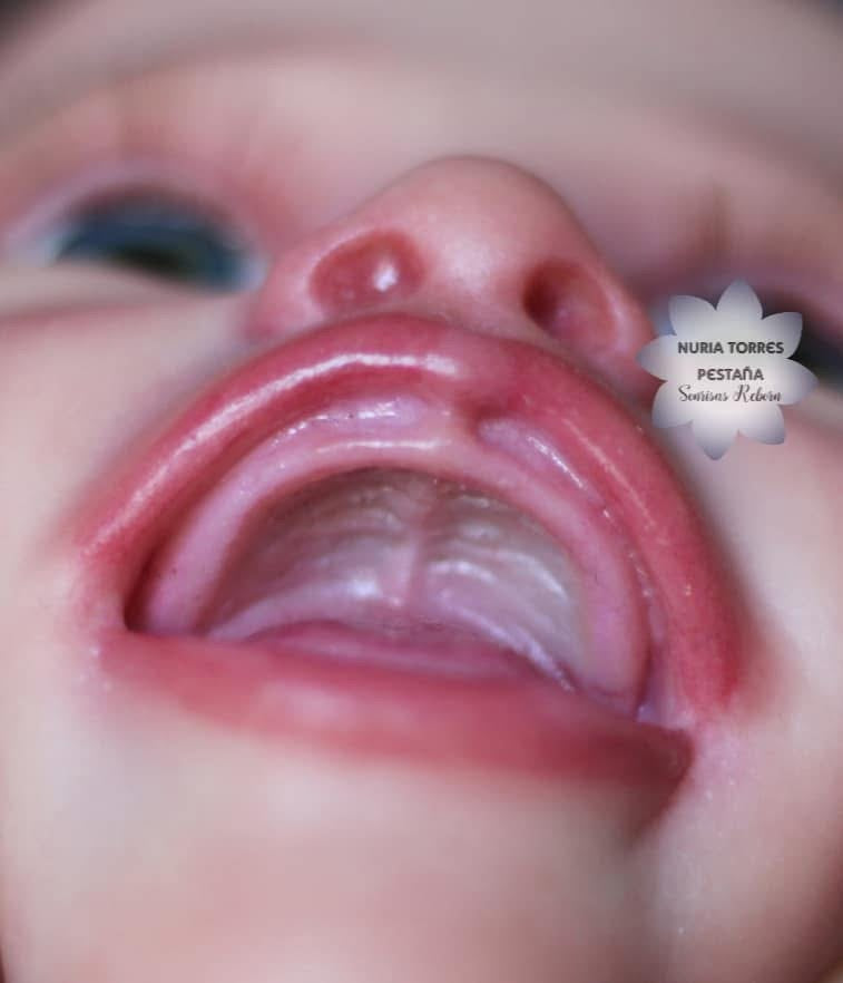 SONRISAS REBORN — photo 10