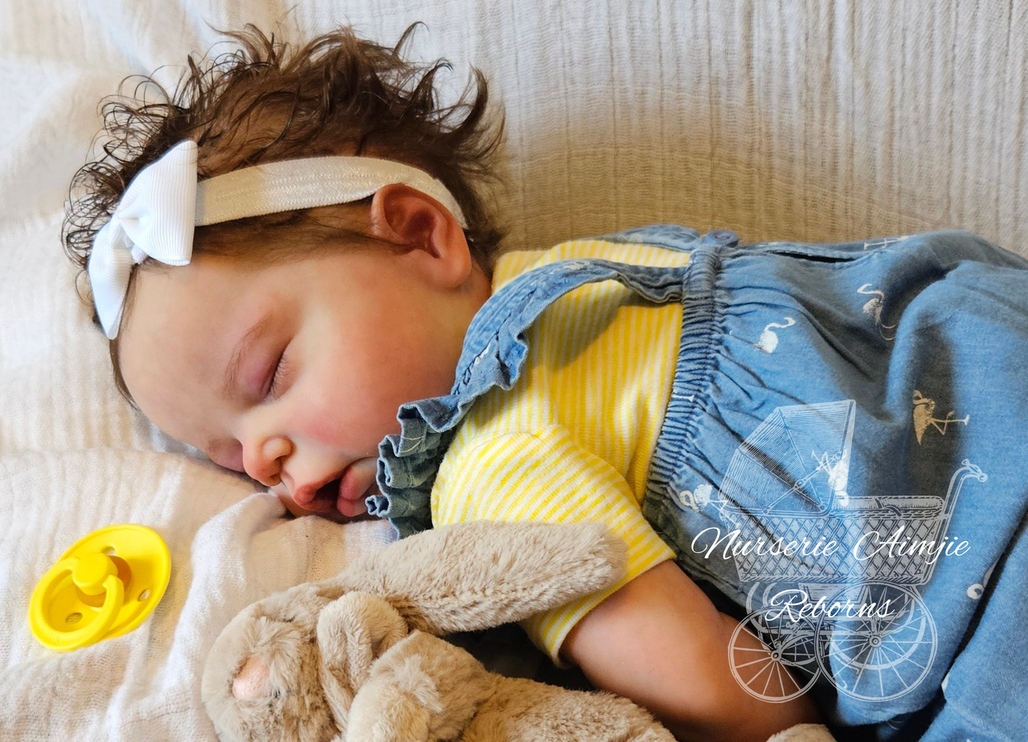 NURSERIE AIMJIE REBORNS