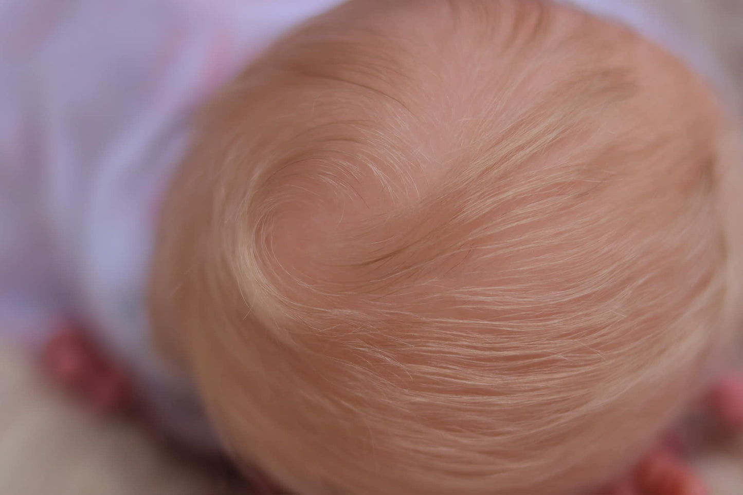 OKSANA SHOMEVA DOLLS