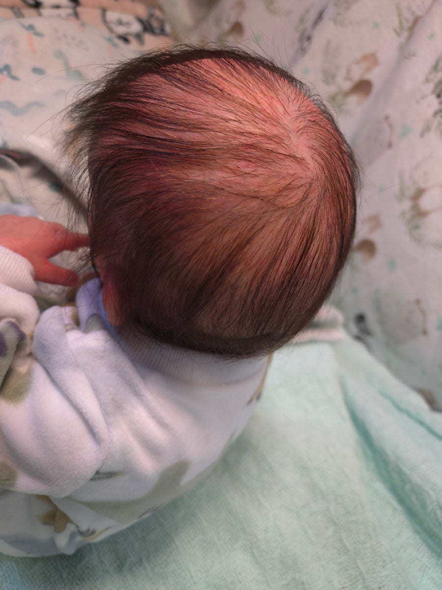 OTTER CUDDLES REBORNS — photo 5