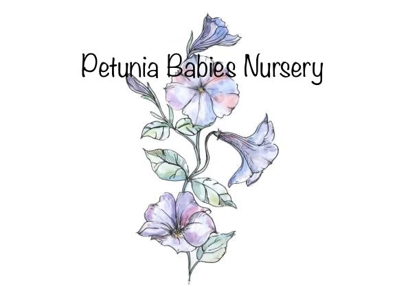 Petunia Babies Nursery — photo 2