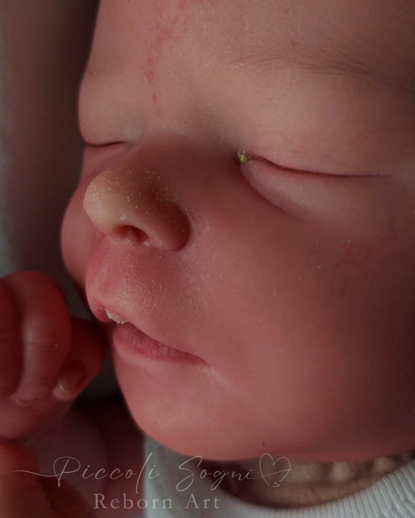 PICCOLI SOGNI REBORN ART