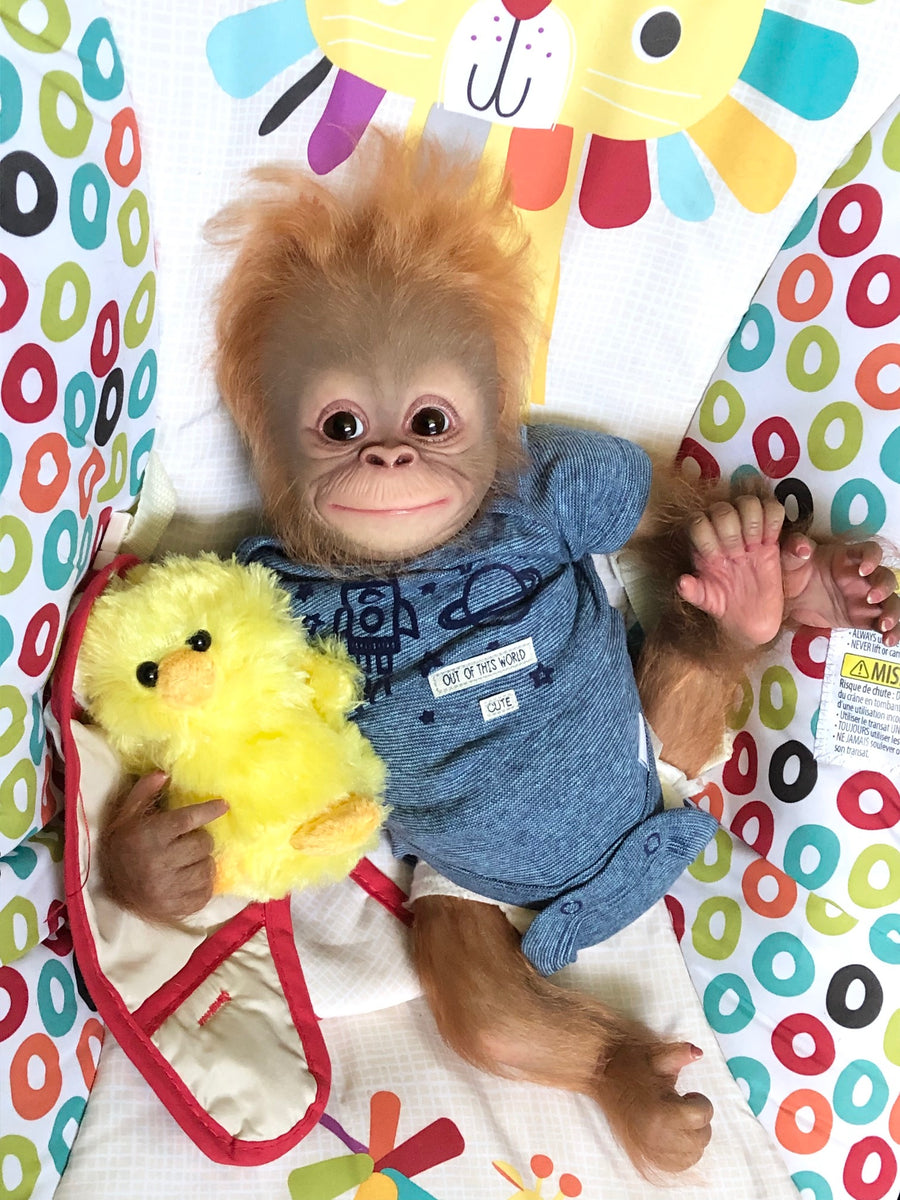 POODIE LUNA'S DOLL NURSERY — photo 10