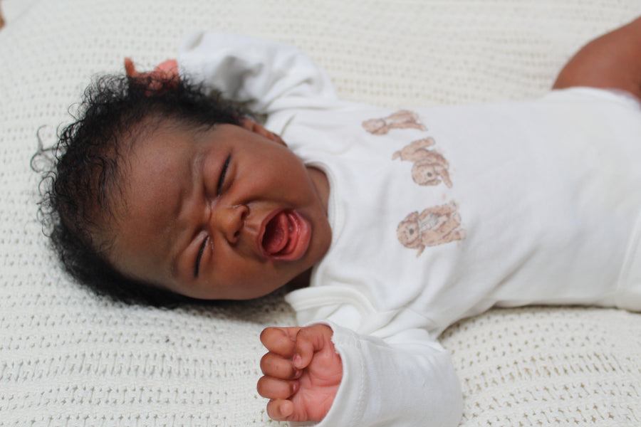 PRECIOUS LITTLE GEMS NURSERY — photo 8