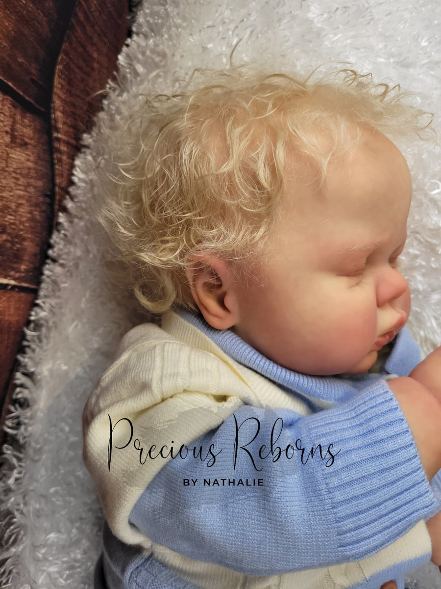 PRECIOUS REBORNS