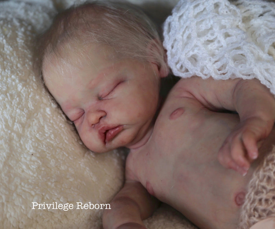 PRIVILEGE REBORN — photo 6