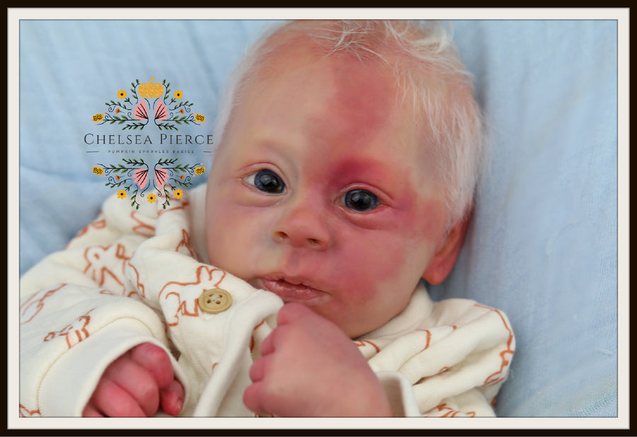 PUMPKIN SPARKLES BABIES — photo 6