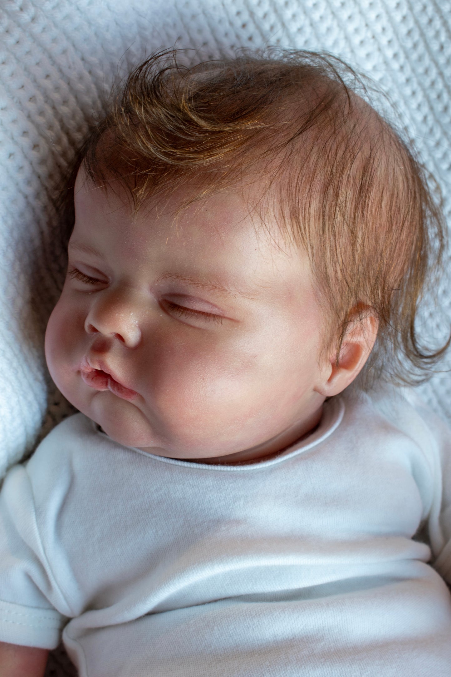 RAENDOM REBORNS
