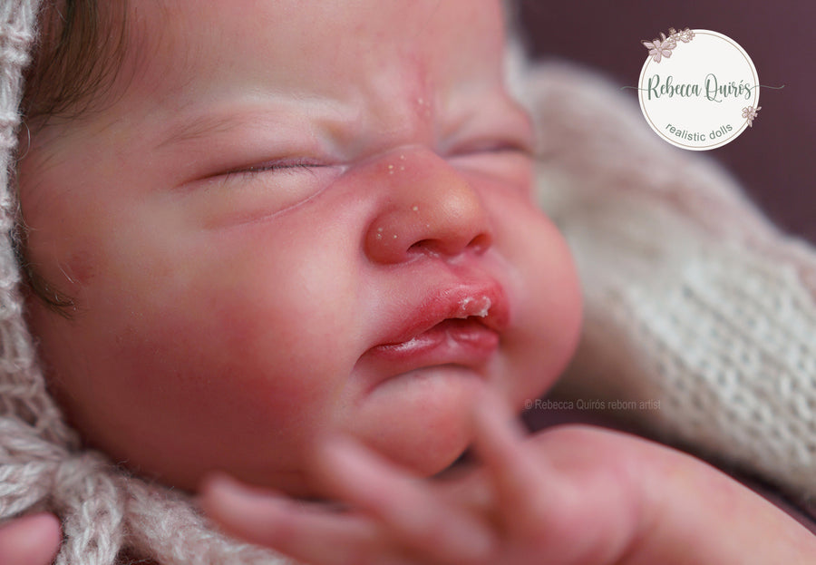 REBECCA QUIROS REBORN DOLL ARTIST — photo 3