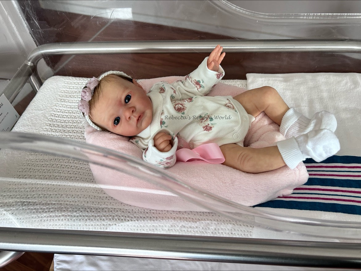 REBECCA'S REBORNS WORLD