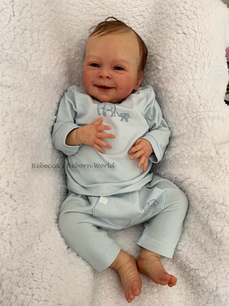 REBECCA'S REBORNS WORLD