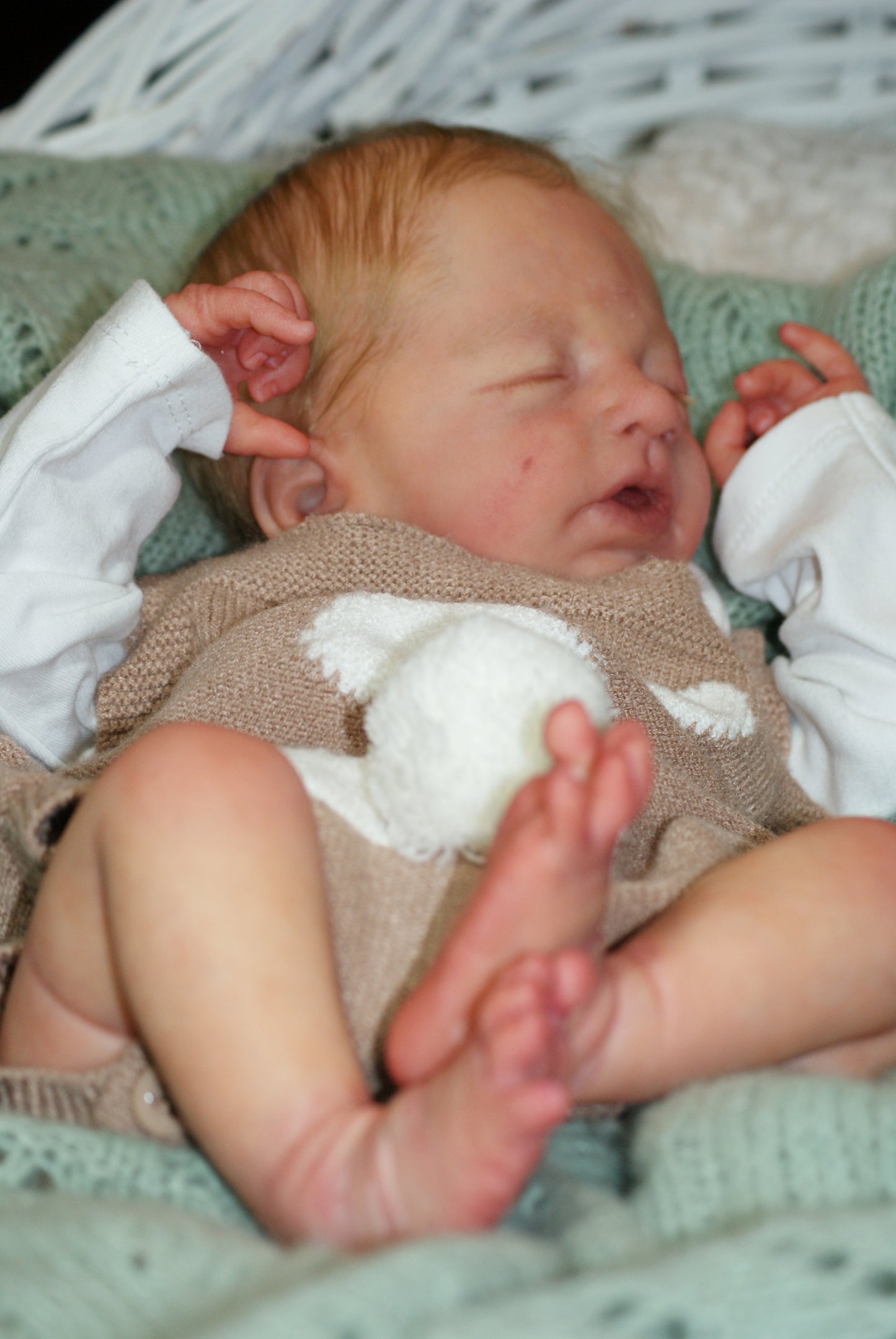 REBORN- MOJE LALE