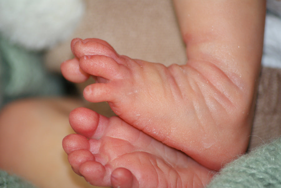 REBORN- MOJE LALE — photo 5