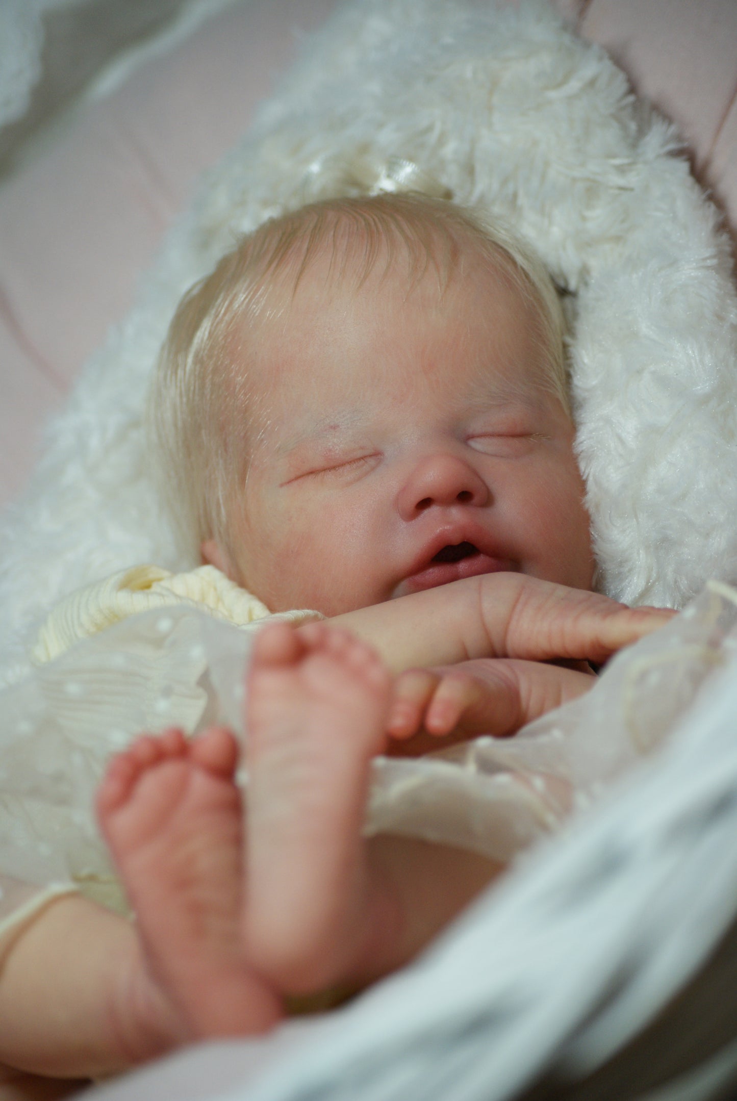 REBORN- MOJE LALE