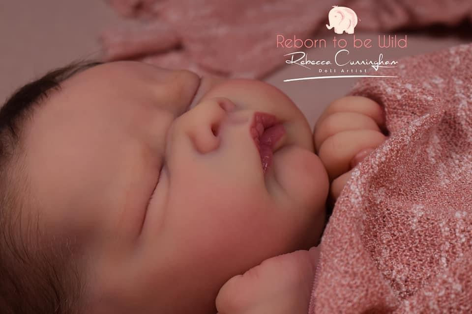 REBORN TO BE WILD NURSERY