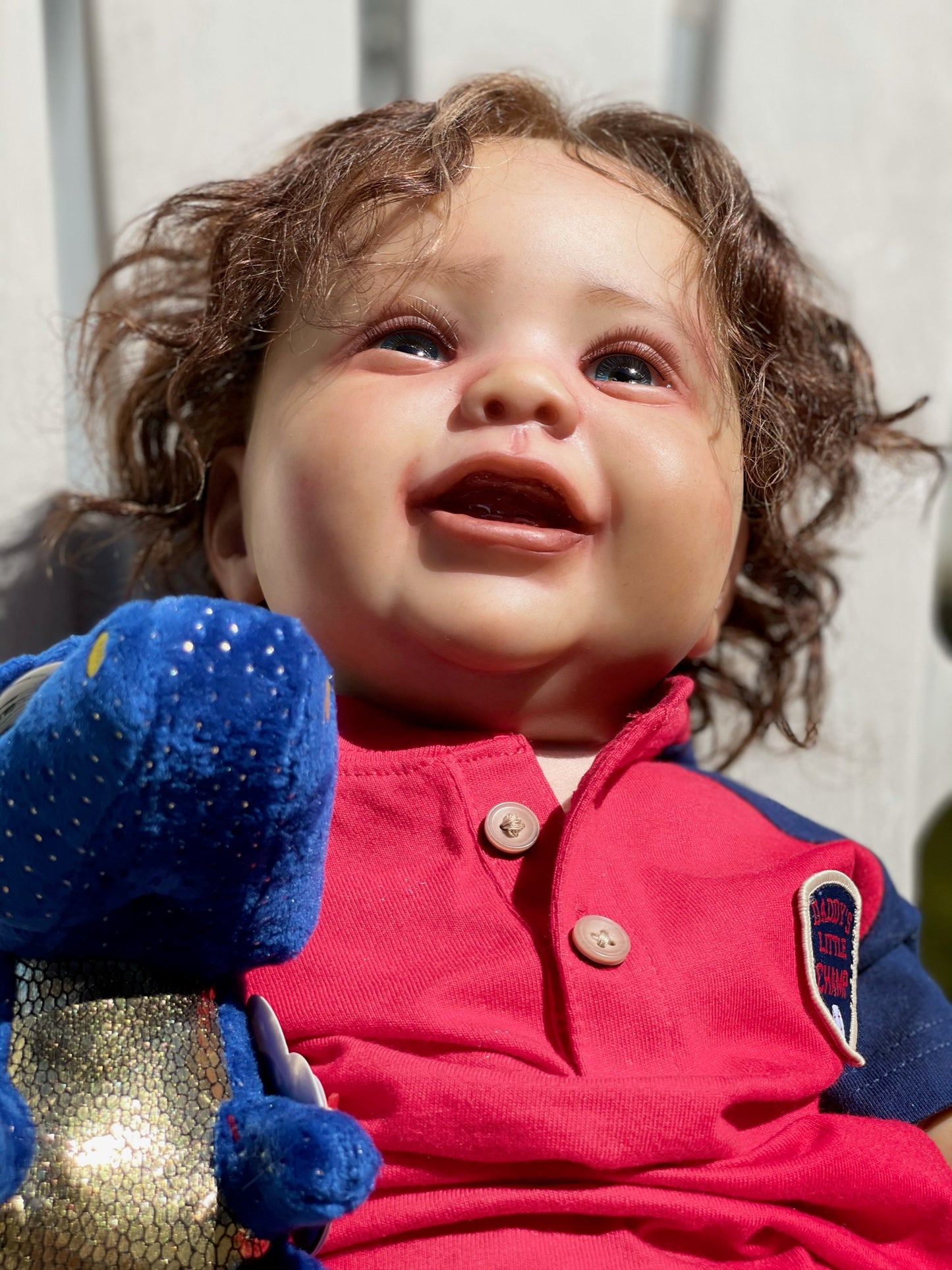 REBORNS AND BABY DOLLS NURSERY