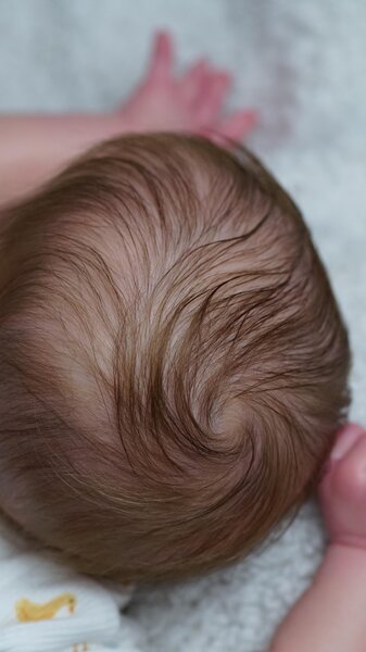 REBORNS OF JESS — photo 4