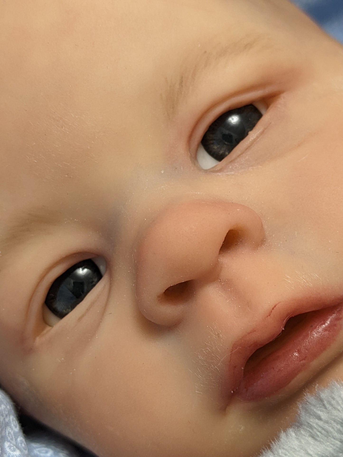ROSITAS REBORN NURSERY