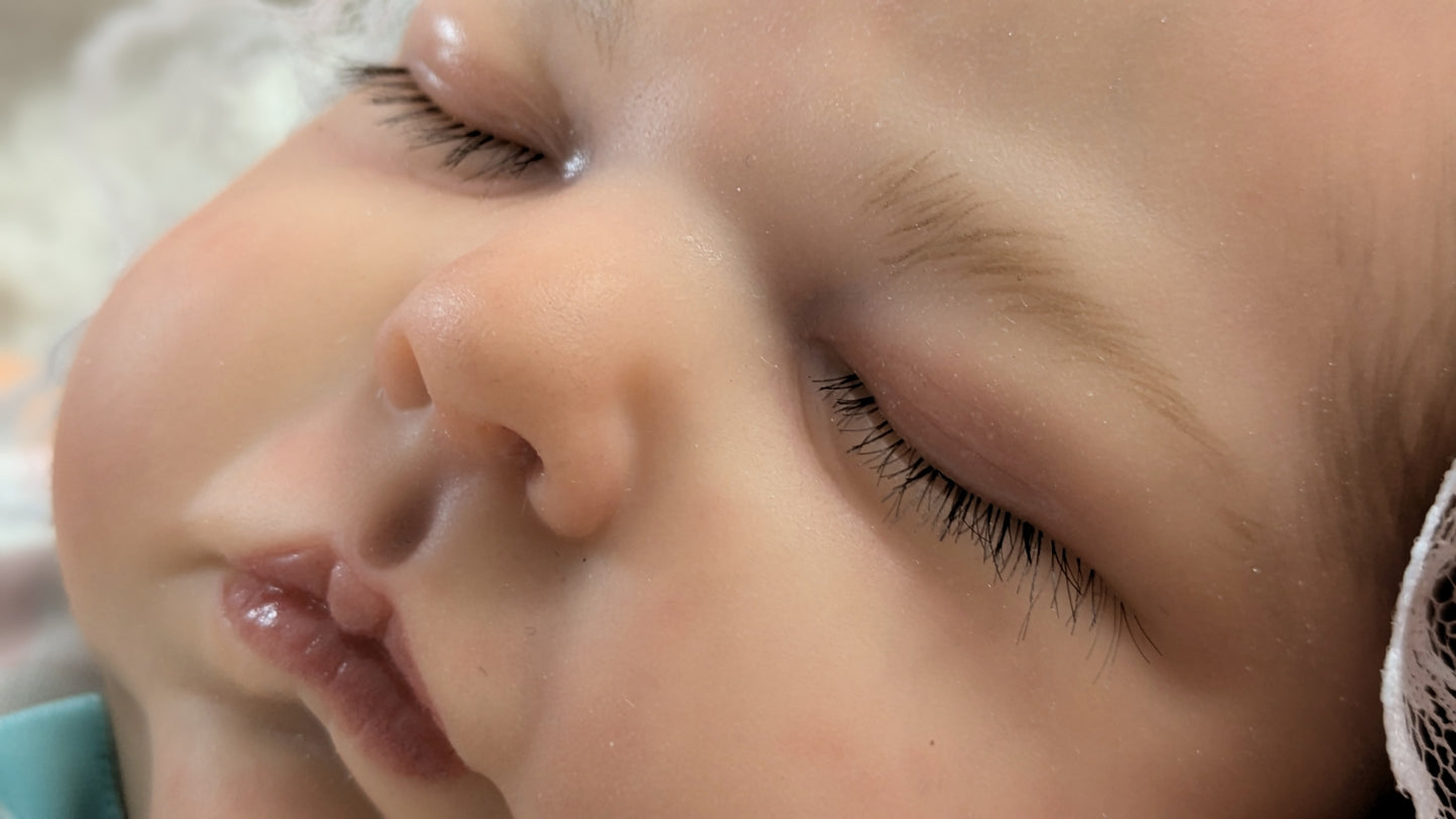 ROSITAS REBORN NURSERY