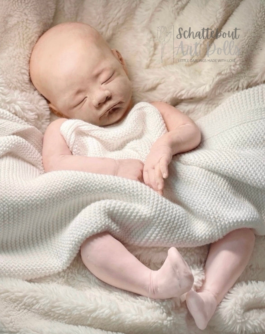 SCHATTEBOUT ART DOLLS — photo 8