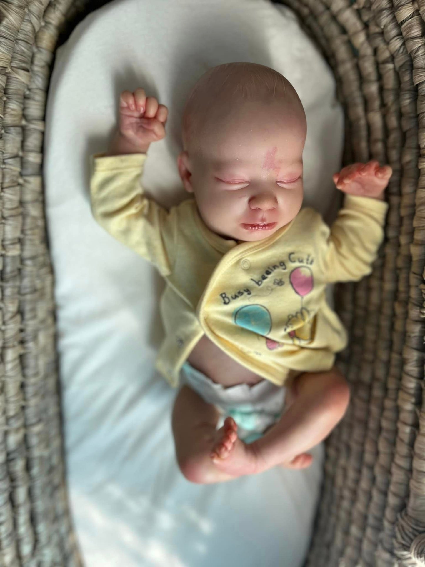 SEA TURTLE REBORN NURSERY