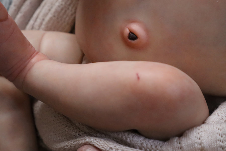 SERENA REBORNS — photo 6