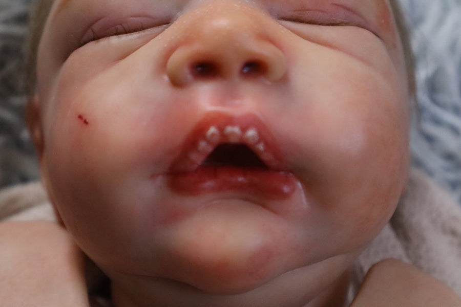 SERENA REBORNS — photo 7