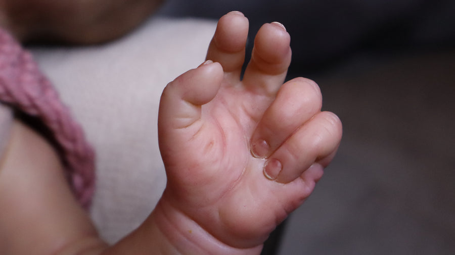SERENA REBORNS — photo 10