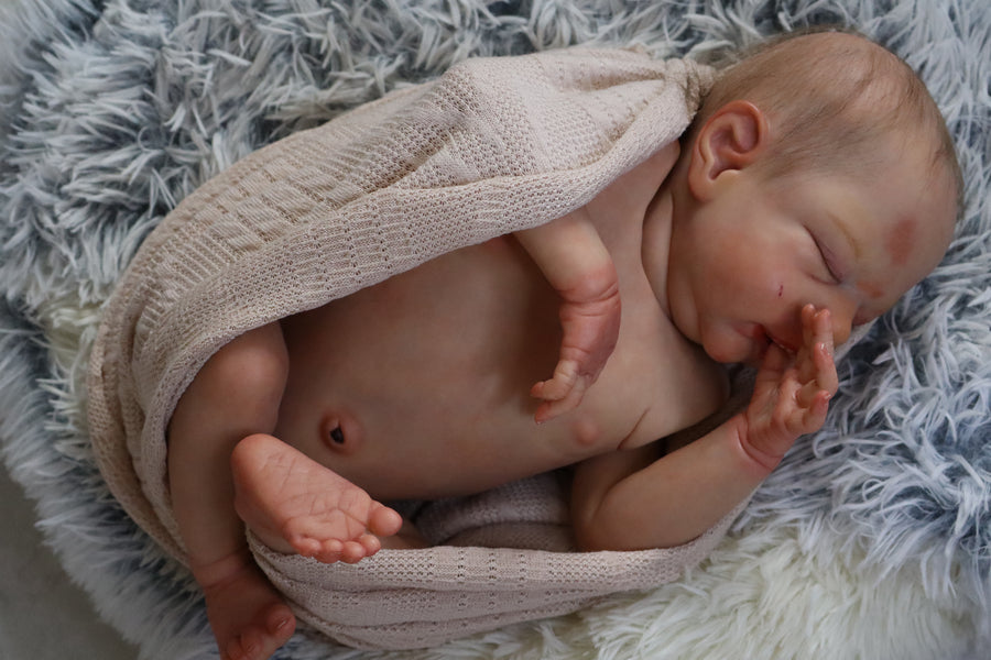 SERENA REBORNS — photo 4