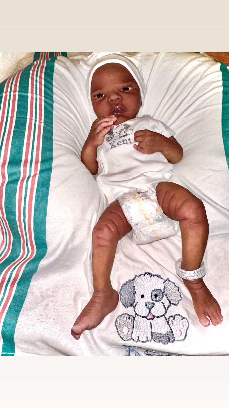 SHERRY’S CUTIE PIES — photo 6
