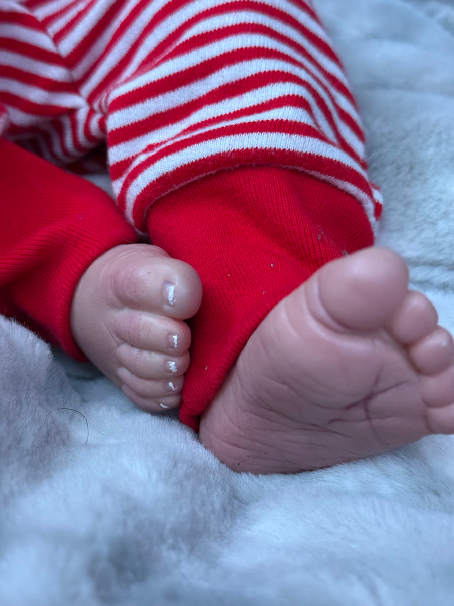 SIERRA.REBORNS — photo 2