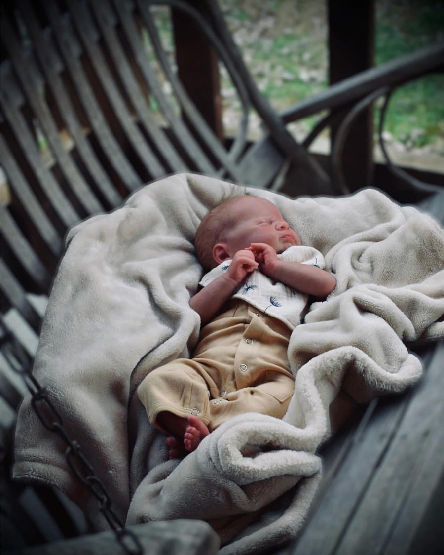 SMOKY MOUNTAIN REBORNS — photo 4