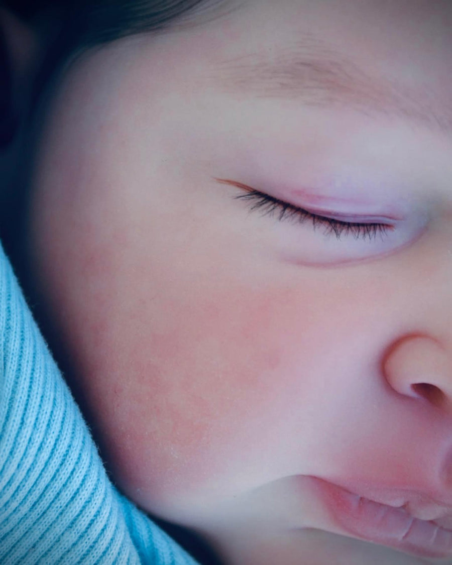 SMOKY MOUNTAIN REBORNS — photo 8