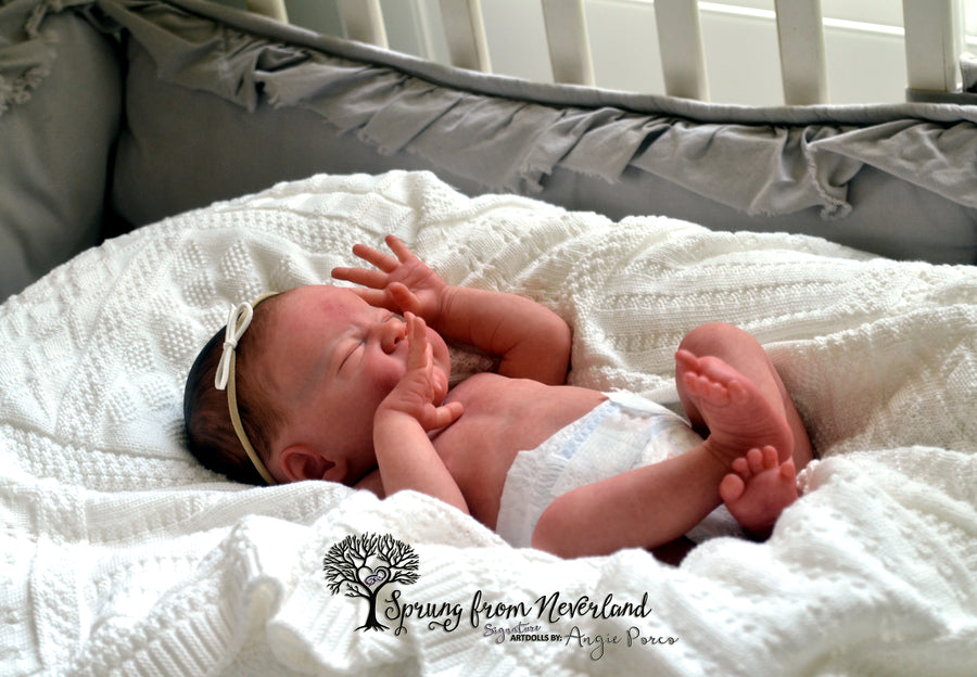 SPRUNG FROM NEVERLAND REBORNS — photo 8