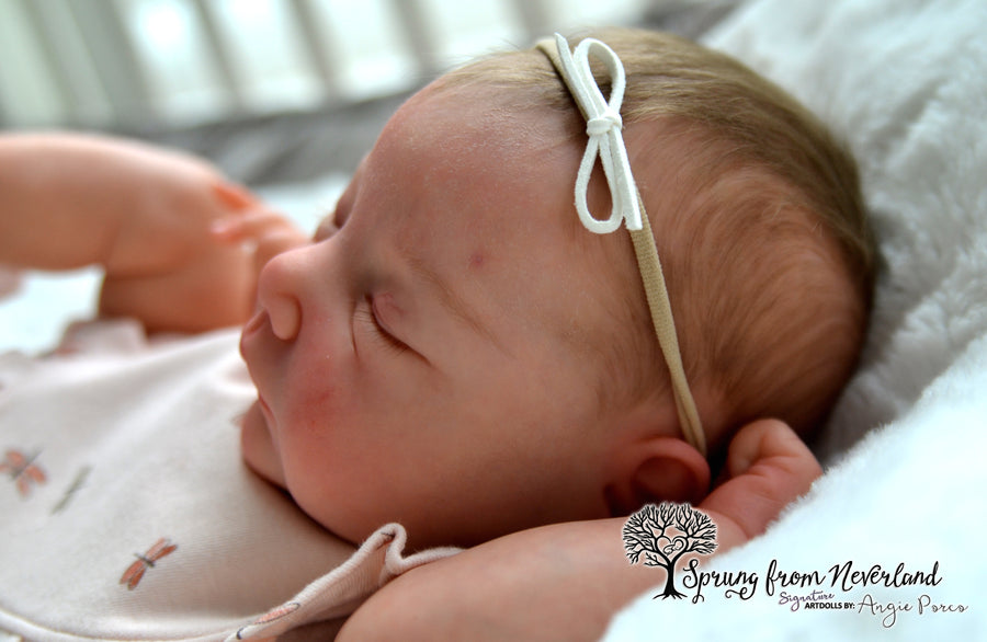SPRUNG FROM NEVERLAND REBORNS — photo 9