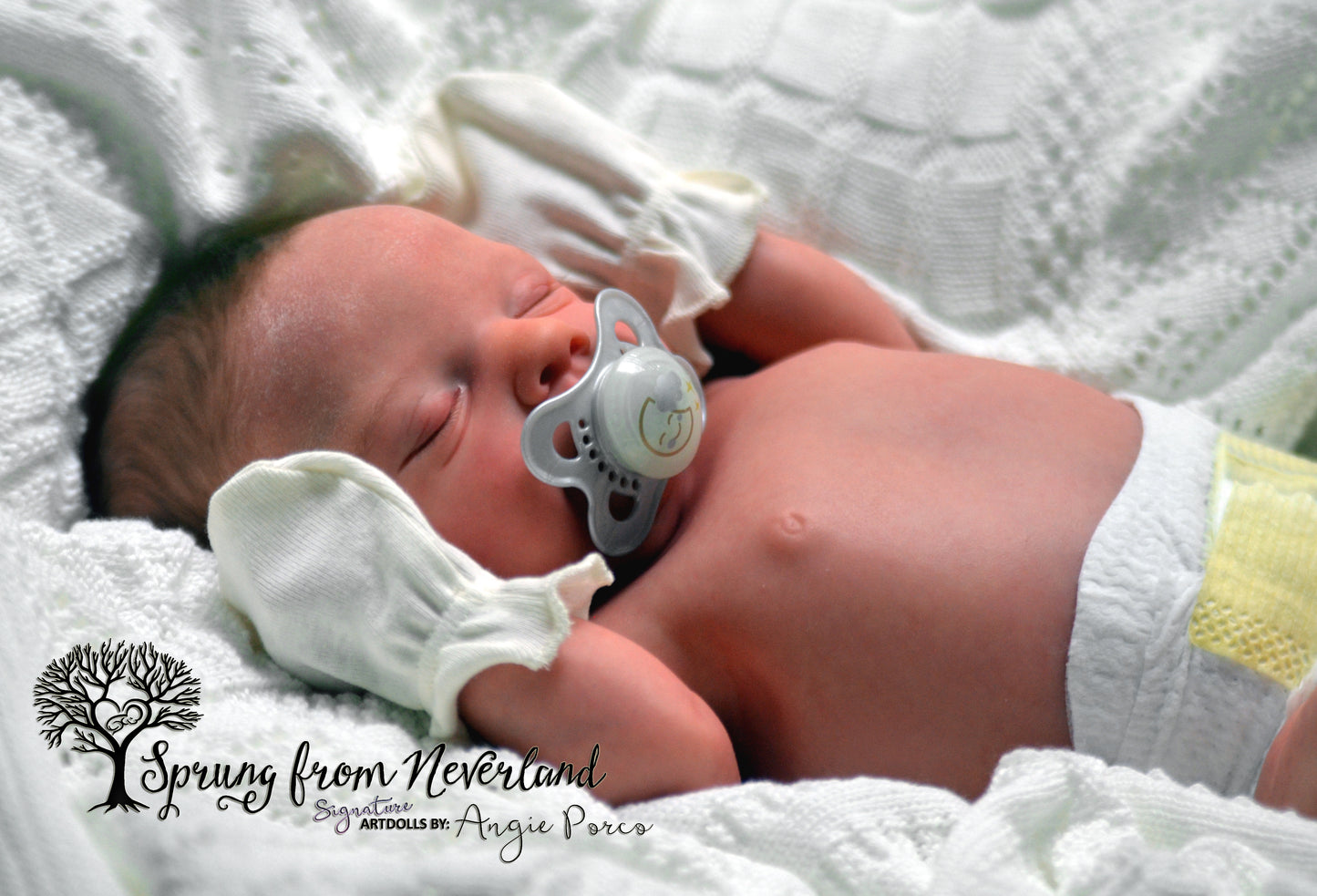 SPRUNG FROM NEVERLAND REBORNS