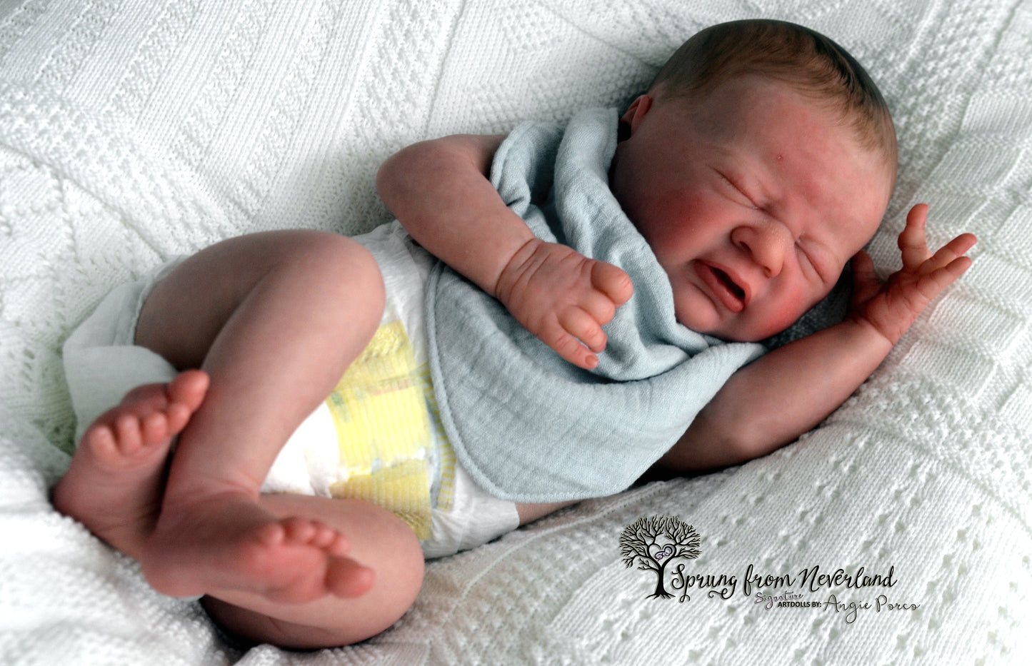SPRUNG FROM NEVERLAND REBORNS