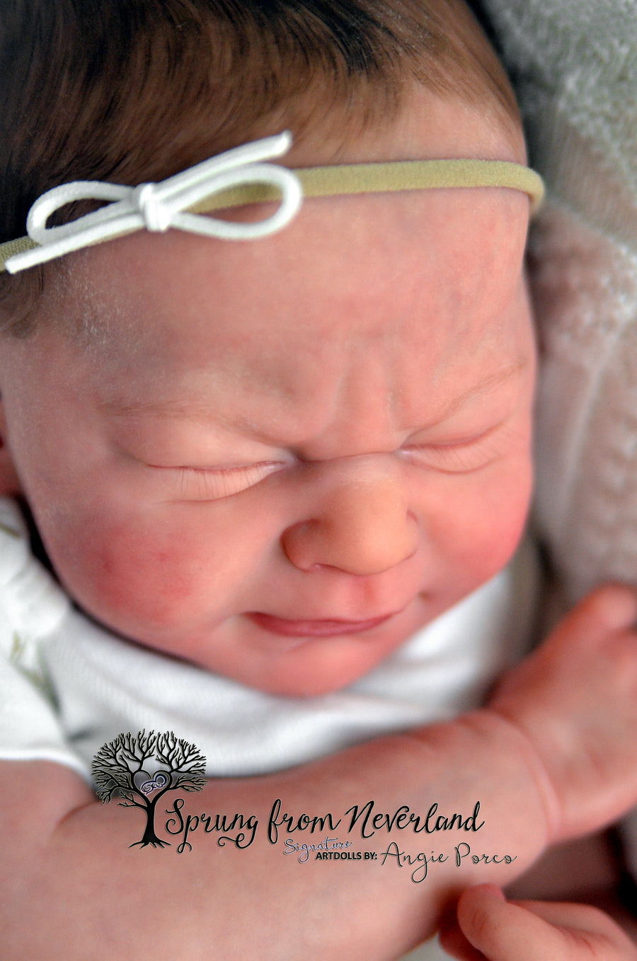 SPRUNG FROM NEVERLAND REBORNS — photo 3