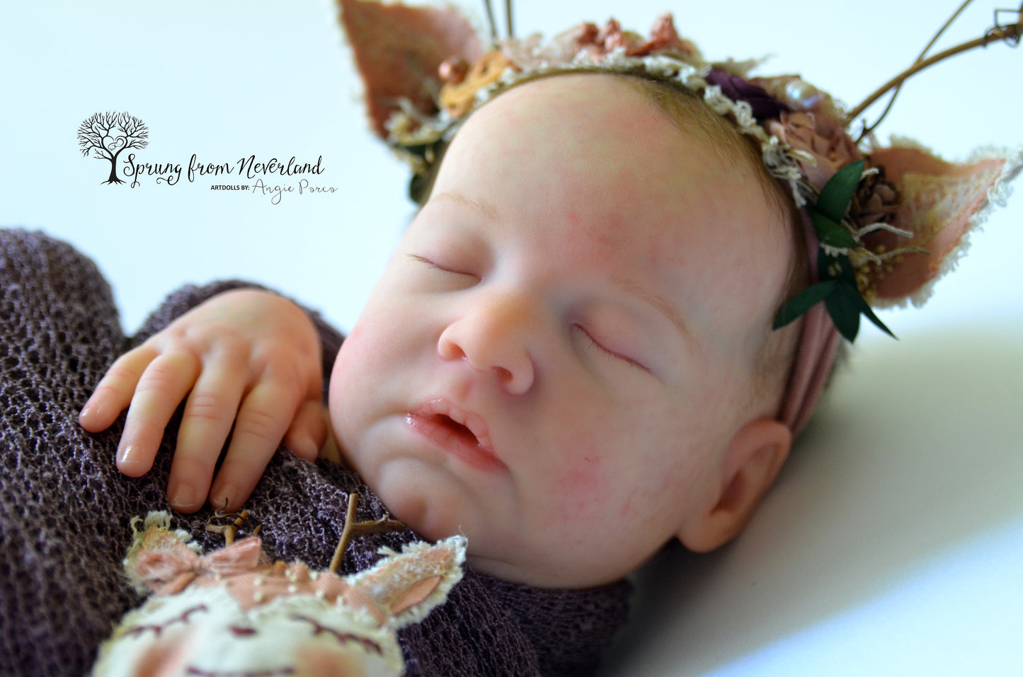 SPRUNG FROM NEVERLAND REBORNS