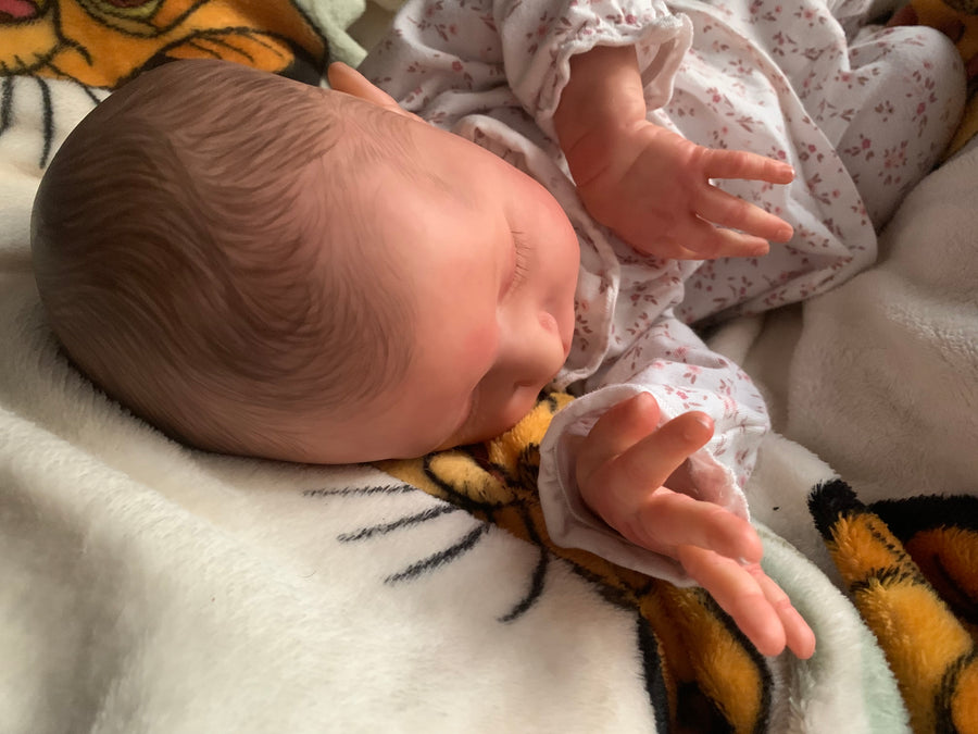 SUNNYSKY_NURSERY — photo 4