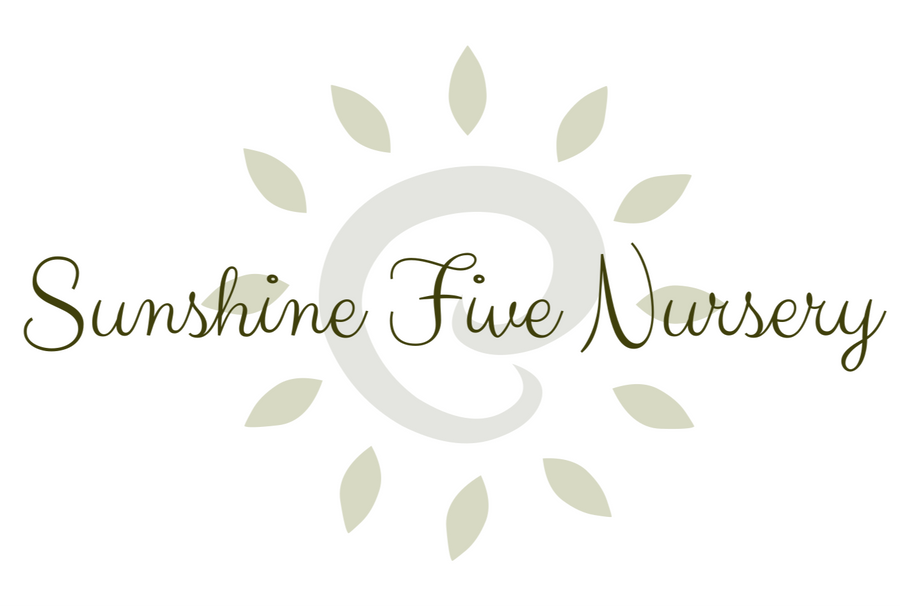 SUNSHINE FIVE NURSERY — photo 2