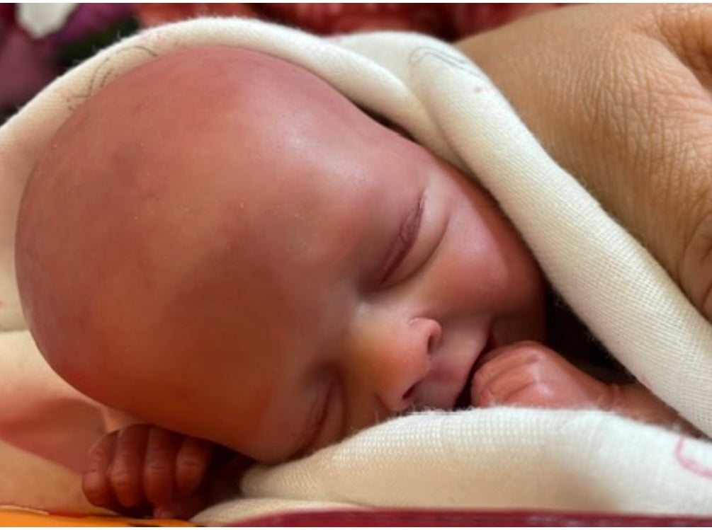 TAKI'S KLEINE HASENKINDER