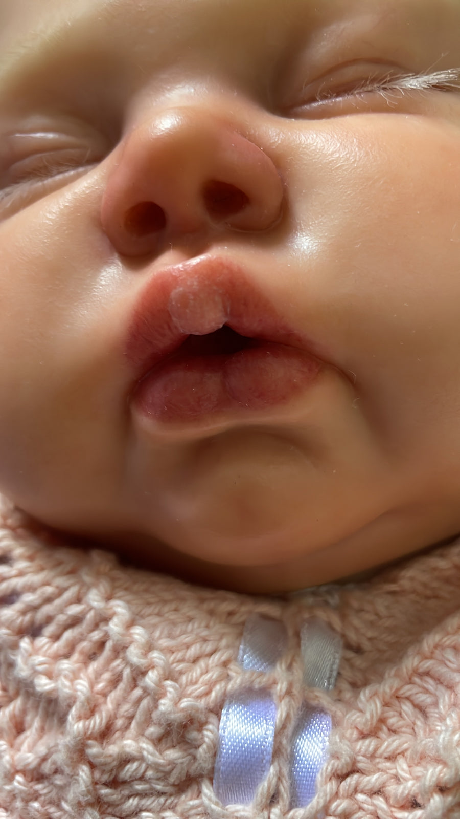 TAKI'S KLEINE HASENKINDER — photo 8