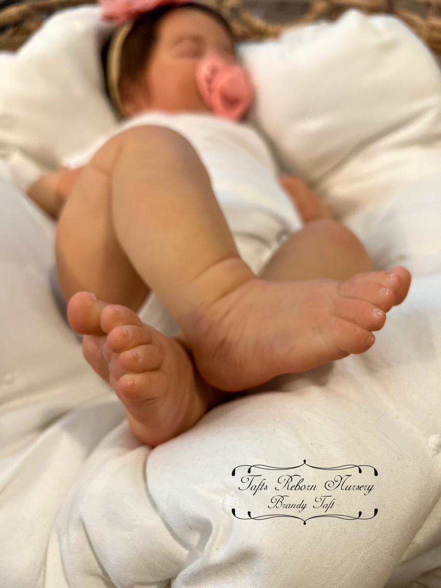 TAFT'S NURSERY — photo 14