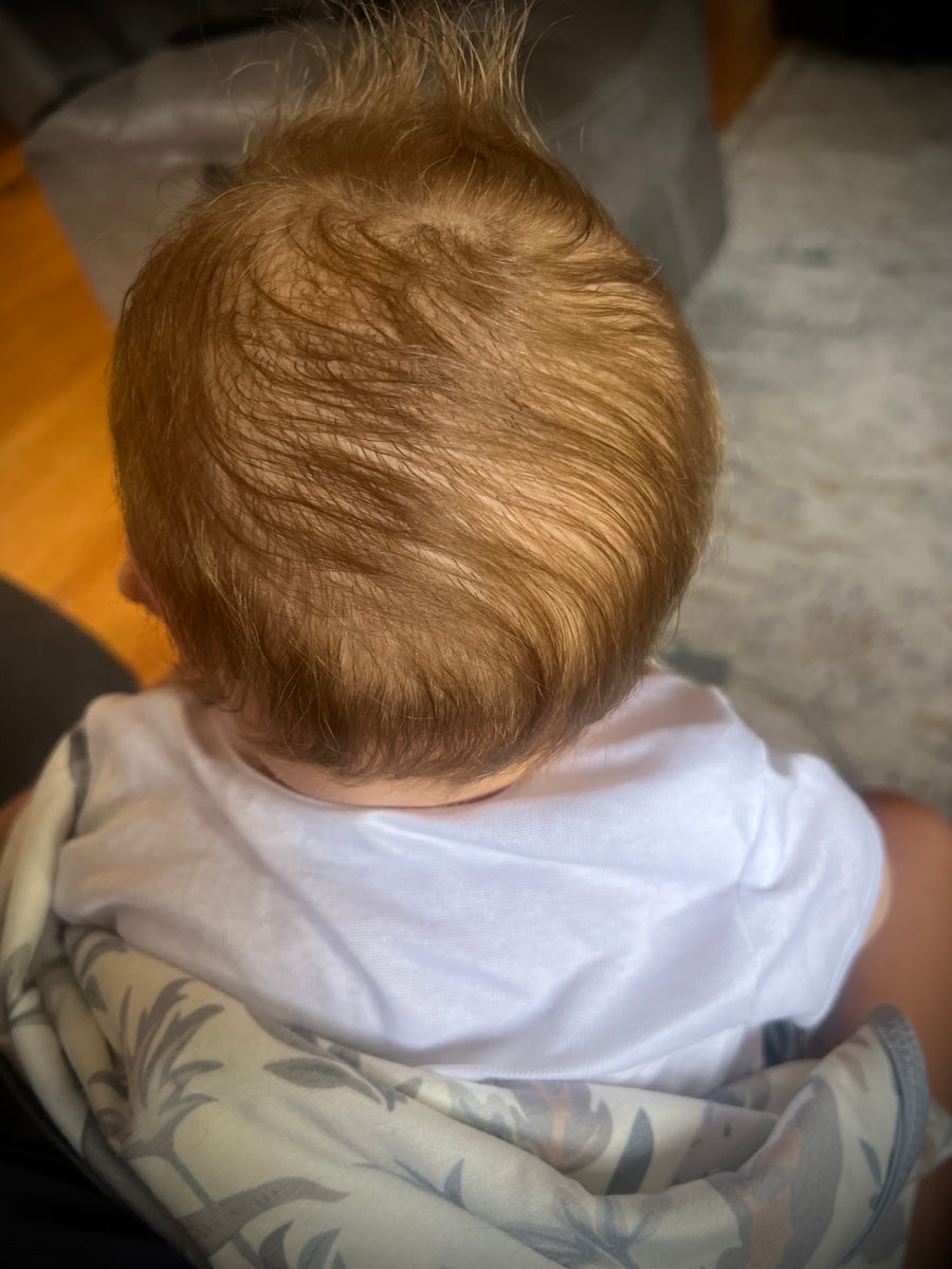 TAFT'S NURSERY — photo 5