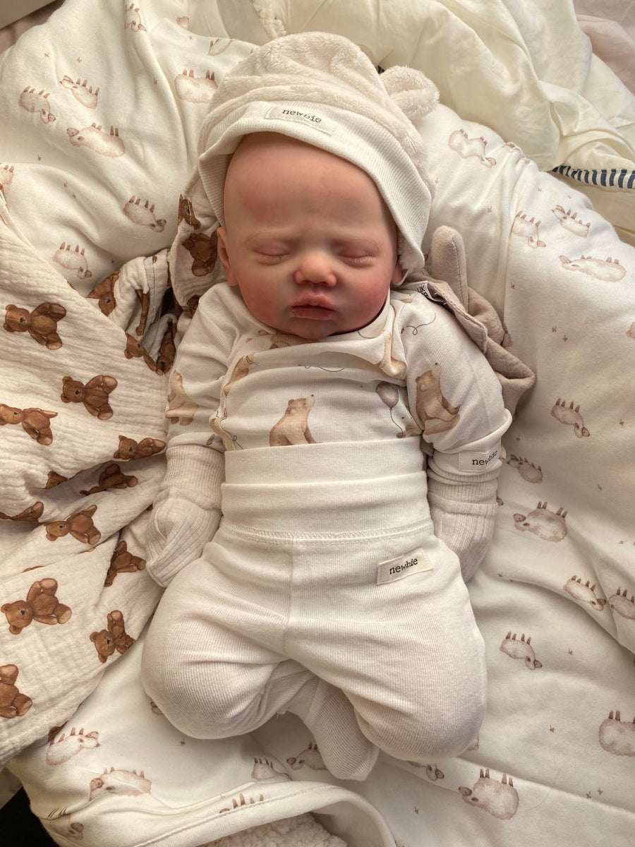 TEDDY'S CRADLE — photo 6
